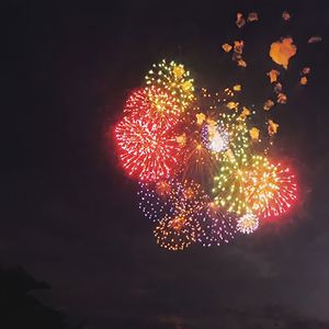 一区二区免费伦理片
