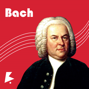 一区二区免费伦理片
